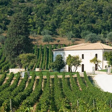 San Calisto Camere Con Vigna 포폴리 외부 사진