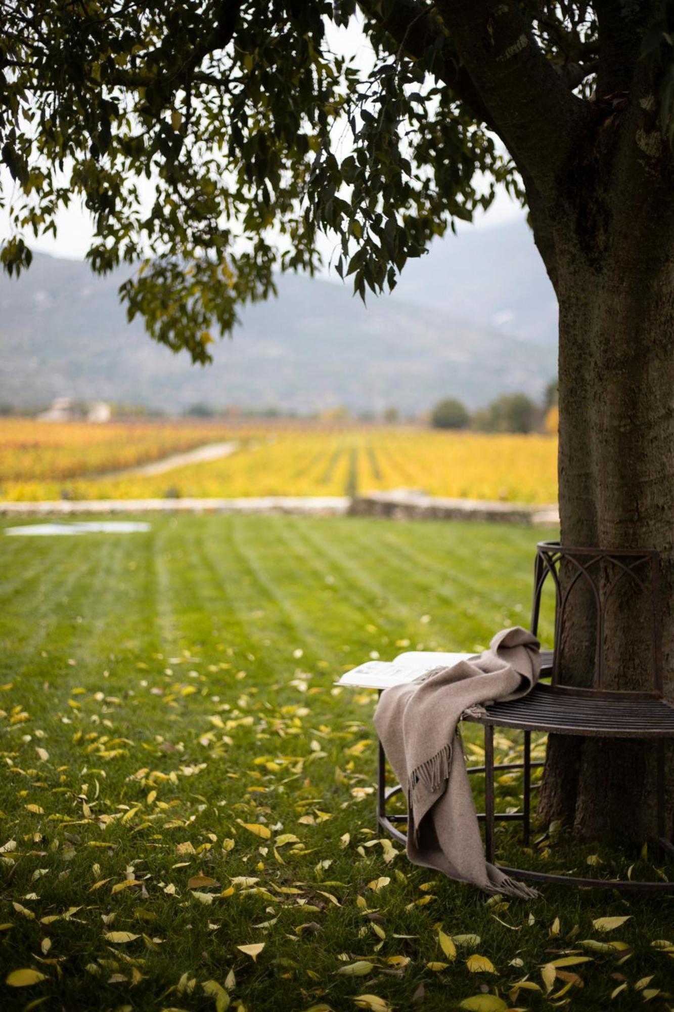 San Calisto Camere Con Vigna 포폴리 외부 사진